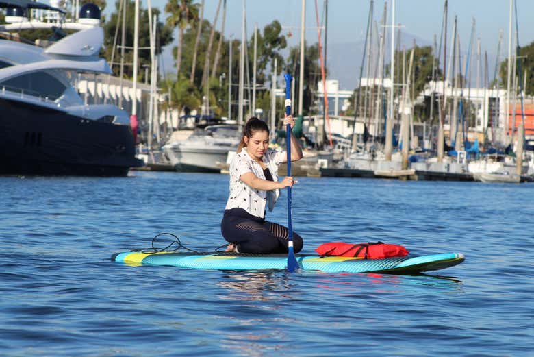 Paddle surf a Marina del Rey 